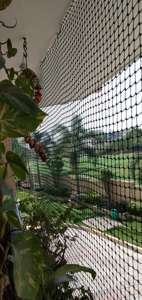 Cricket practice net setup
