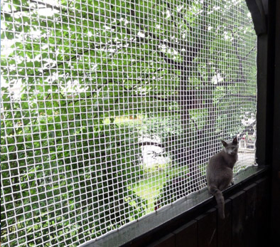 Pets Safety Nets